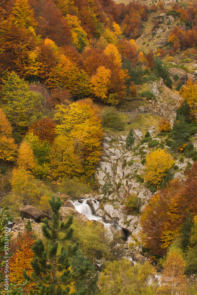 Pyrenees forest (Ordesa National Park) in autumn Pyrenees forest (Ordesa National Park) in autumn