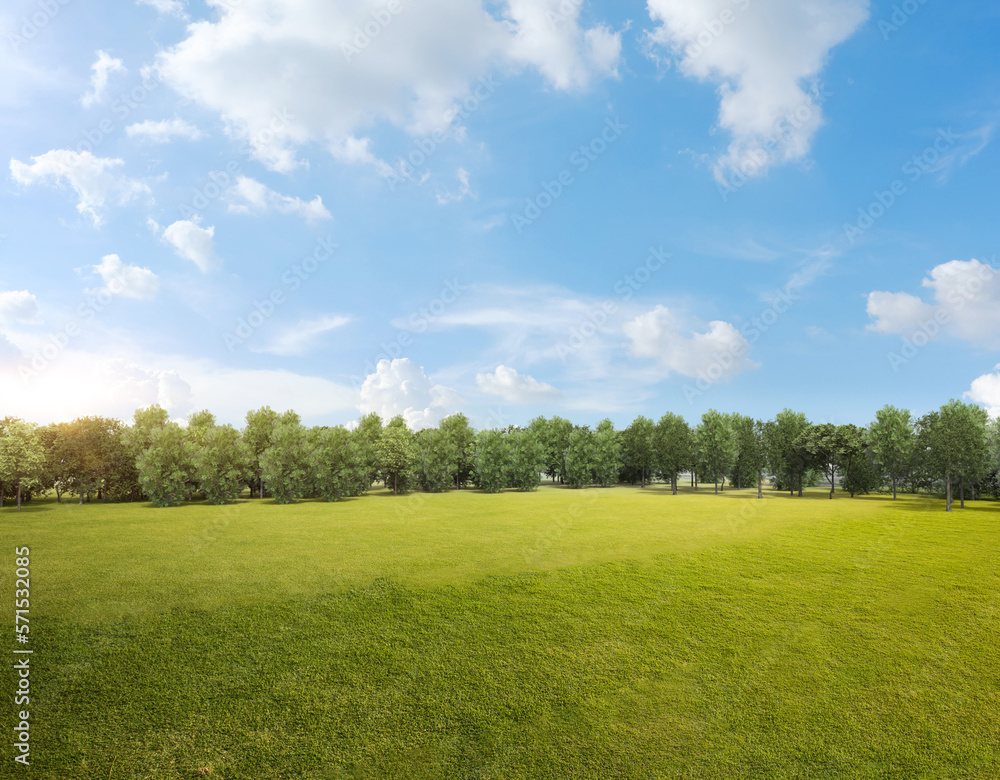 Green grass field with tree forest and cloudy blue sky Green grass field with tree forest and cloudy blue sky