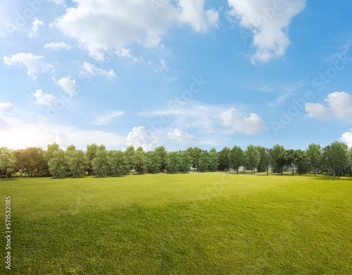 Green grass field with tree forest and cloudy blue sky