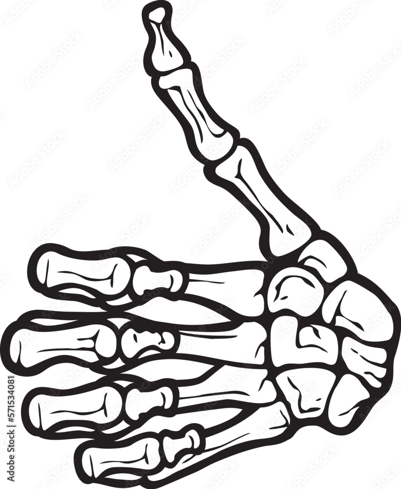 Skeleton Hand Gesture Thumb Up. OK gesture. Skeleton Hand Gesture Thumb Up. OK gesture.