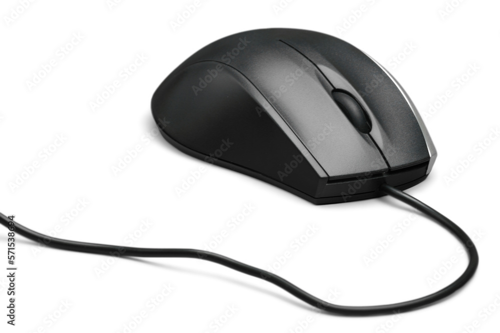 Computer Mouse