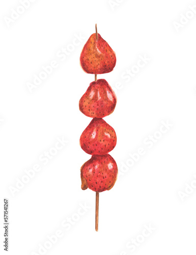 Fruit candy made of strawberry coated in sugar on a stick. Watercolor illustration.