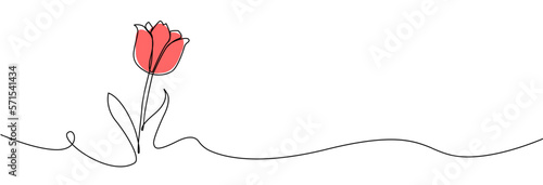 Tulip one line drawing.Abstract flower continuous line. Minimalist contour drawing of tulip. Continuous line drawing of flower tulip.Hand drawn sketch of flower with leaves.