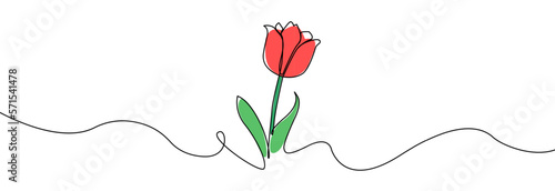 Tulip one line drawing.Abstract flower continuous line. Minimalist contour drawing of tulip. Continuous line drawing of flower tulip.Hand drawn sketch of flower with leaves.