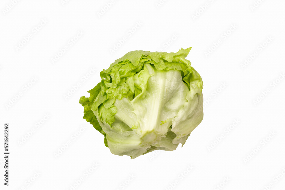cabbage isolated on white cabbage isolated on white