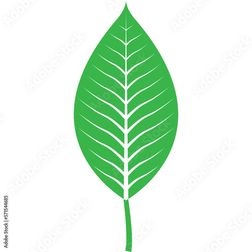 Green Leaf Element  4 