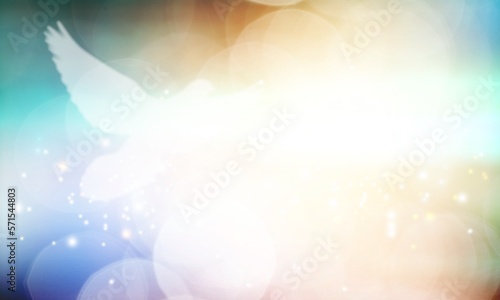 Photography Light Silhouette of bird on colored sky background