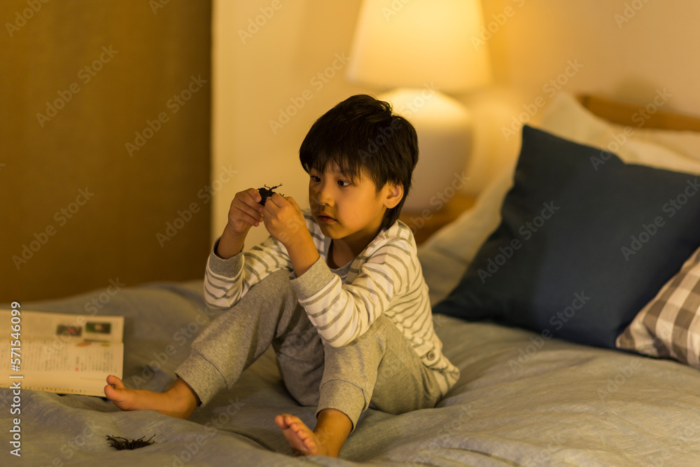 昆虫のおもちゃを観察する男の子 昆虫のおもちゃを観察する男の子