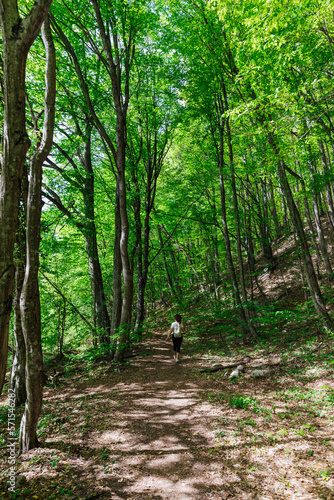 a person walking in the woods walking hike with a backpack