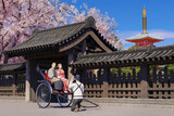 人力車に乗って記念撮影する外国人観光客 / インバウンド・春の日本旅行のコンセプトイメージ / 3Dレンダリング / Take a photo on a rickshaw. An image of a spring trip to Japan.