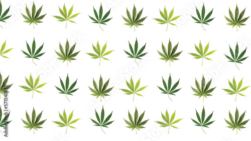 Green Cannabis Leaves Seamless Pattern Illustration