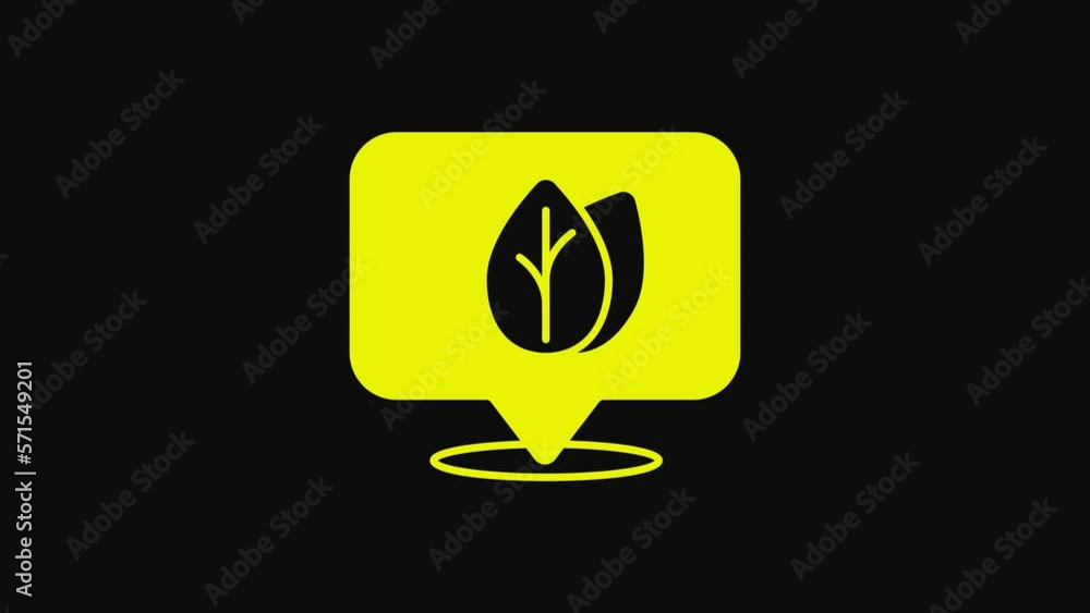 Yellow Location pin with leaf inside icon isolated on black background. Leaves sign. Fresh natural product symbol. 4K Video motion graphic animation Yellow Location pin with leaf inside icon isolated on black background. Leaves sign. Fresh natural product symbol. 4K Video motion graphic animation