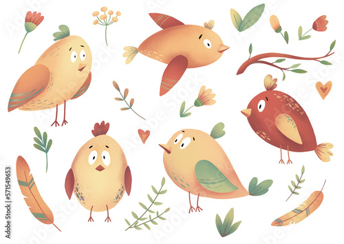 Set of cartoon funny birds. Warm colors of illustration for print. Flowers  branch  feathers clipart