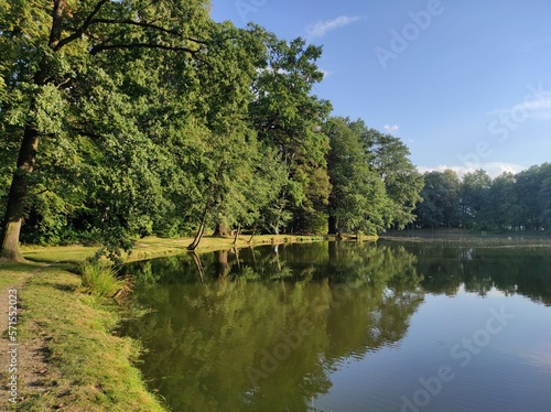 Lake view among lush trees in forest. The reflection of green trees on pond shows beauty of nature. nature landscape in forest