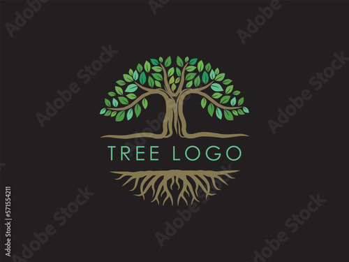 circular tree roots logo in 3d style. ancient tree vector illustrations.