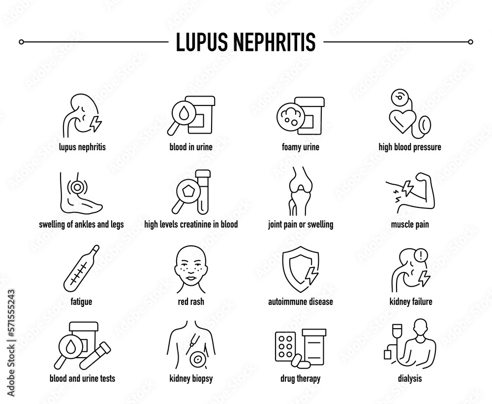 Lupus Nephritis symptoms, diagnostic and treatment vector icon set. Line editable medical icons.