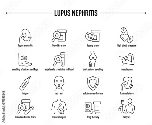 Lupus Nephritis symptoms, diagnostic and treatment vector icon set. Line editable medical icons.