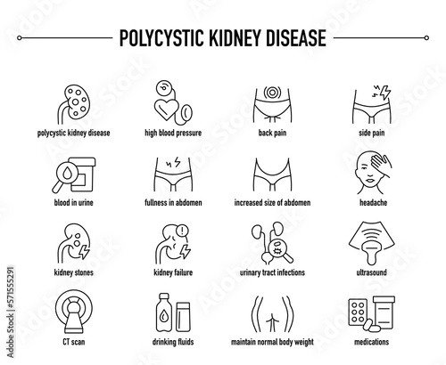Polycystic Kidney Disease symptoms, diagnostic and treatment vector icon set. Line editable medical icons.