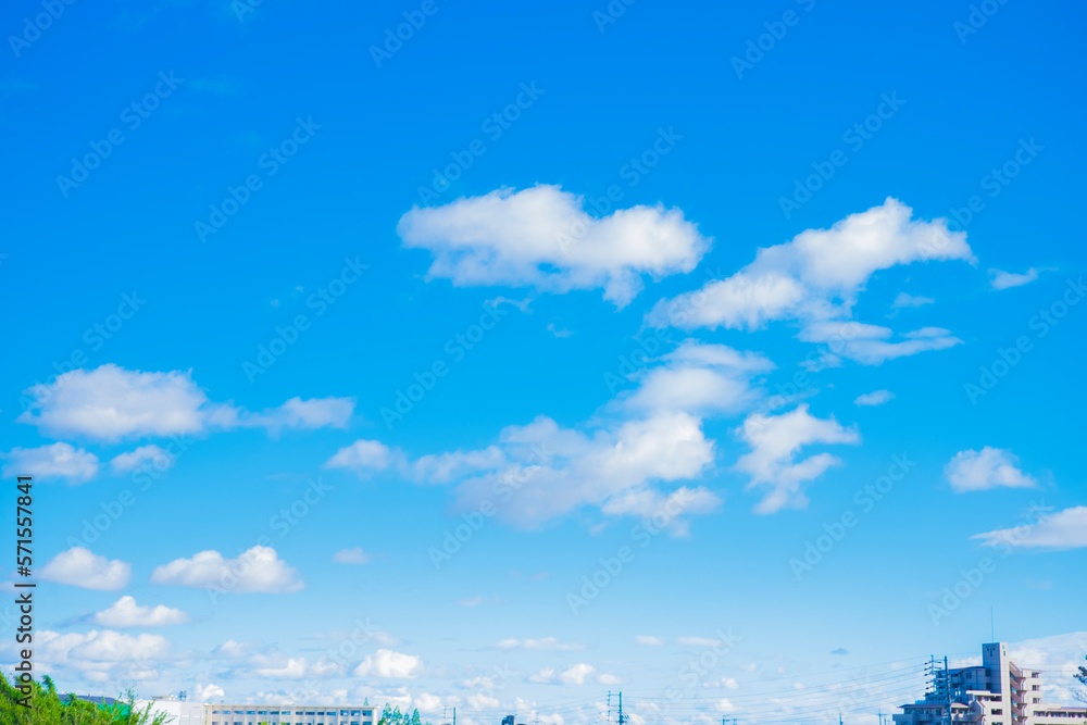 Obraz premium 青空と白い雲