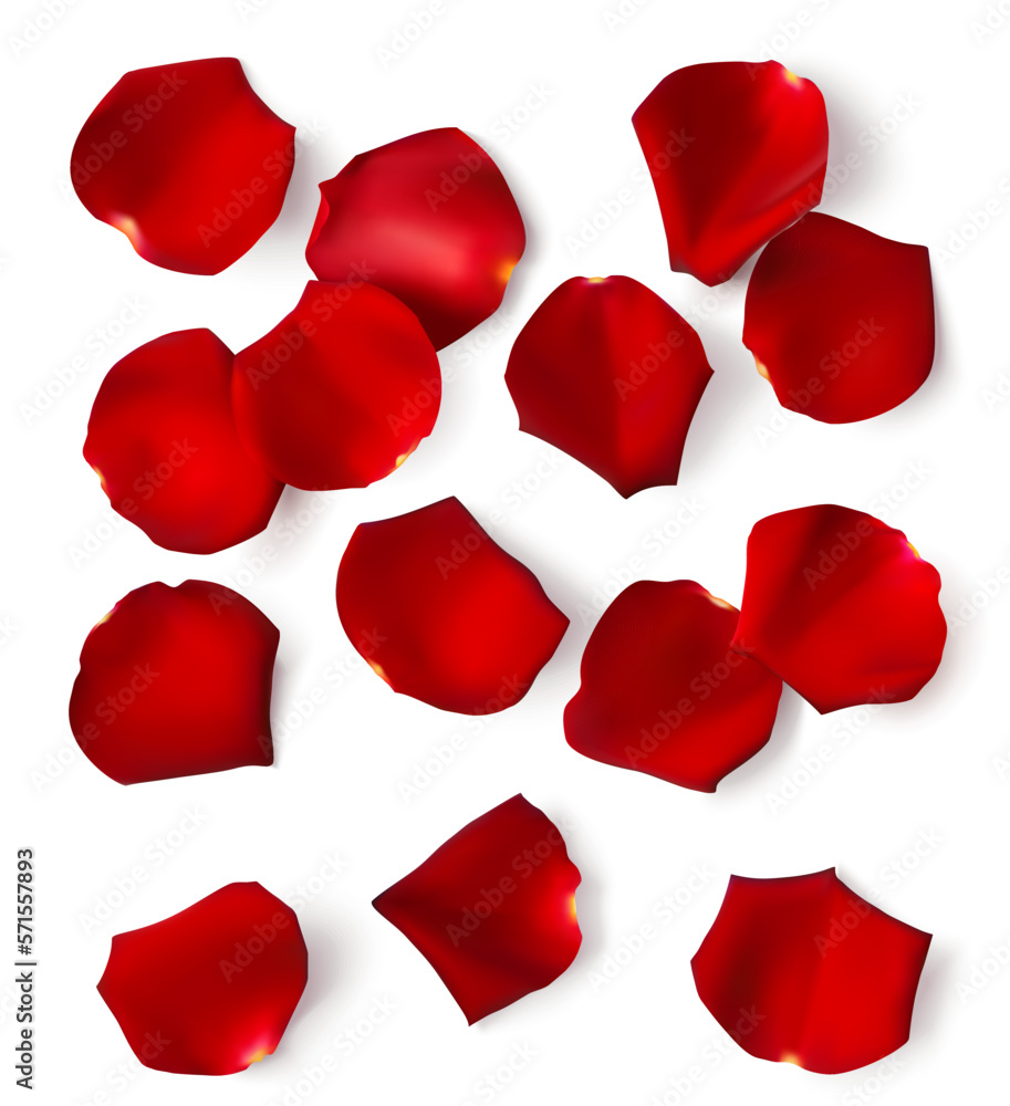 Set of decorative realistic red rose petal with shadow isolated on white. Wedding or Valentines Day design elements. Flat lay. Vector stock illustration. Set of decorative realistic red rose petal with shadow isolated on white. Wedding or Valentines Day design elements. Flat lay. Vector stock illustration.