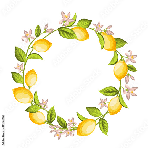 Round wreath of lemon branch . Frame made of lemons berrie, leaf and flowers.
