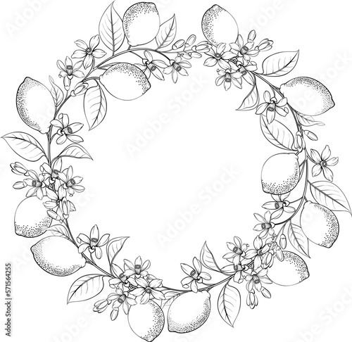 Round wreath of lemon branch . Frame made of lemons berrie, leaf and flowers.