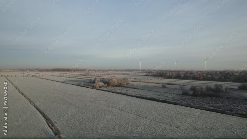 AERIAL WS Frozen polder with ice covered willows / Netherlands AERIAL WS Frozen polder with ice covered willows / Netherlands