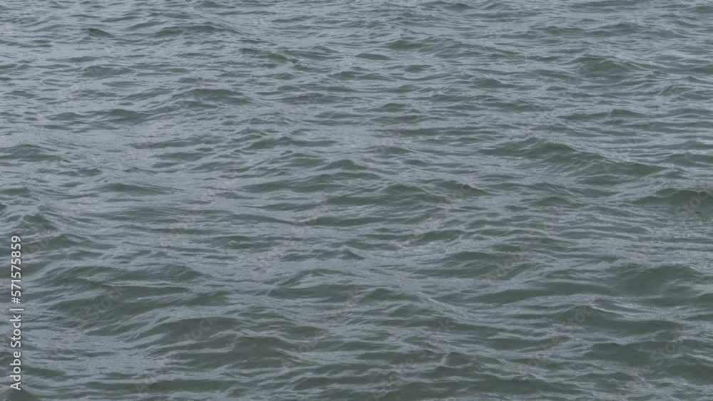 Bad weather, slow motion of the river swaying in the wind. Bad weather, slow motion of the river swaying in the wind.