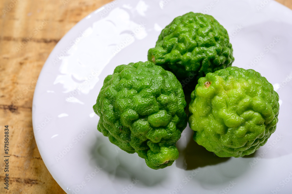 Fototapeta premium Citrus hystrix, kaffir lime or makrut lime, citrus fruit native to tropical Southeast Asia. Fruit used in Southeast Asian cuisine, essential oil is used in perfumery for intense citrus fragrance.