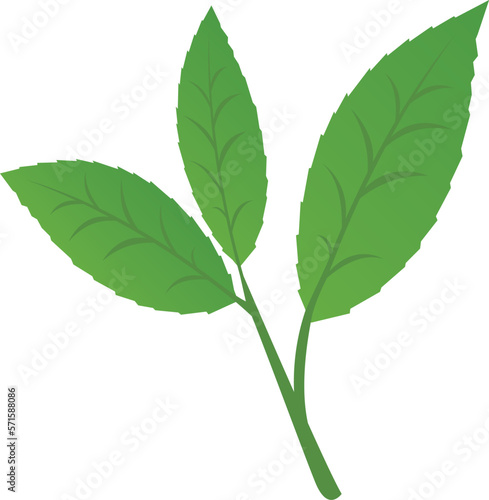 お茶の葉