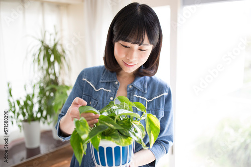 観葉植物を手に持つ女性