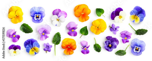Foto Spring viola pansy flowers collection isolated on white background