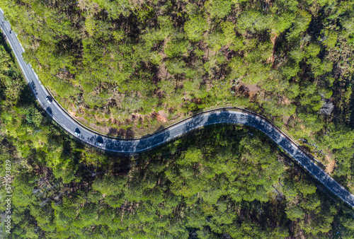 Aerial view of asphalt road and green forest, forest road going through forest with car adventure view from above, Ecosystem and ecology healthy environment concepts and background.