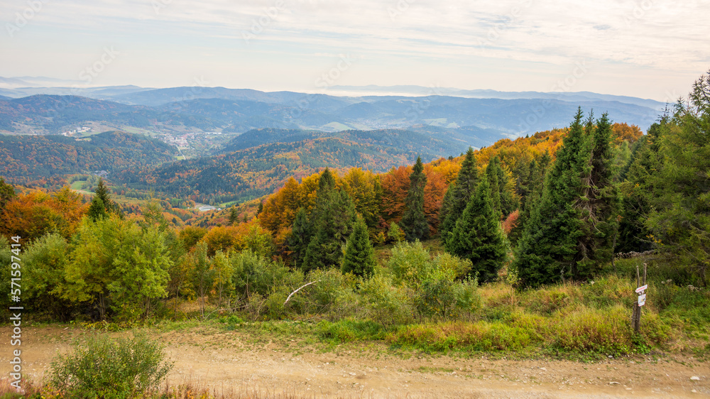 Autumn view Autumn view