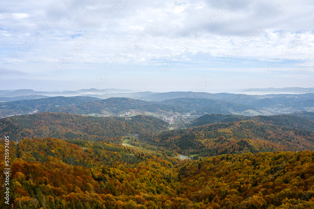 Autumn from the above