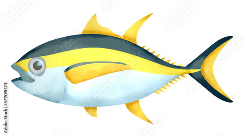                                            Yellowfin tuna. Watercolor style illustration.