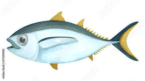                                            Bigeye tuna. Watercolor style illustration.