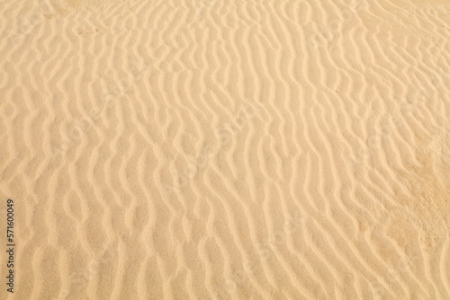 Sahara desert sand background