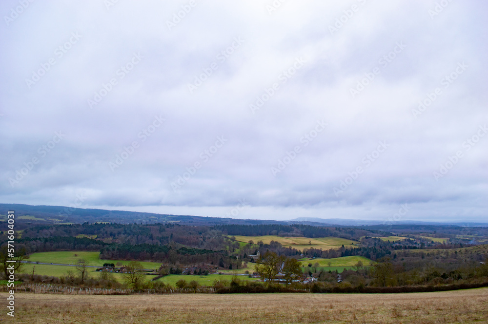 Shere Woodland Landscape, Surrey Hills Shere Woodland Landscape, Surrey Hills