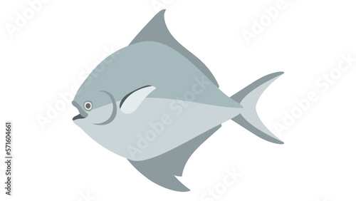 マナガツオのフラットなベクターイラスト