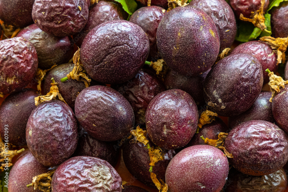 Lots of Passion fruit (granadillas) shot overhead