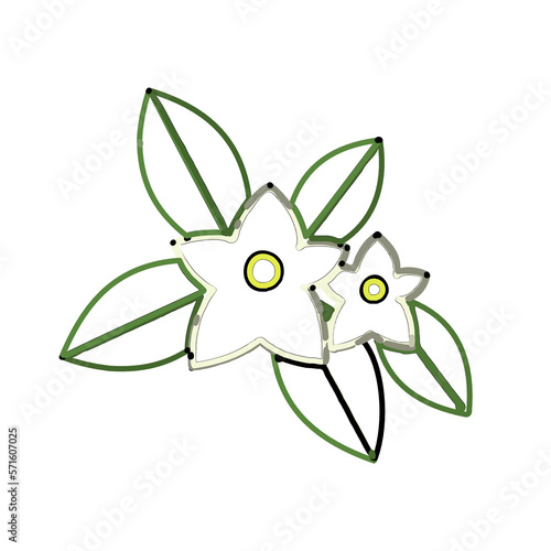 Wallpaper Mural color line art of jasmine flower with transparent background Torontodigital.ca