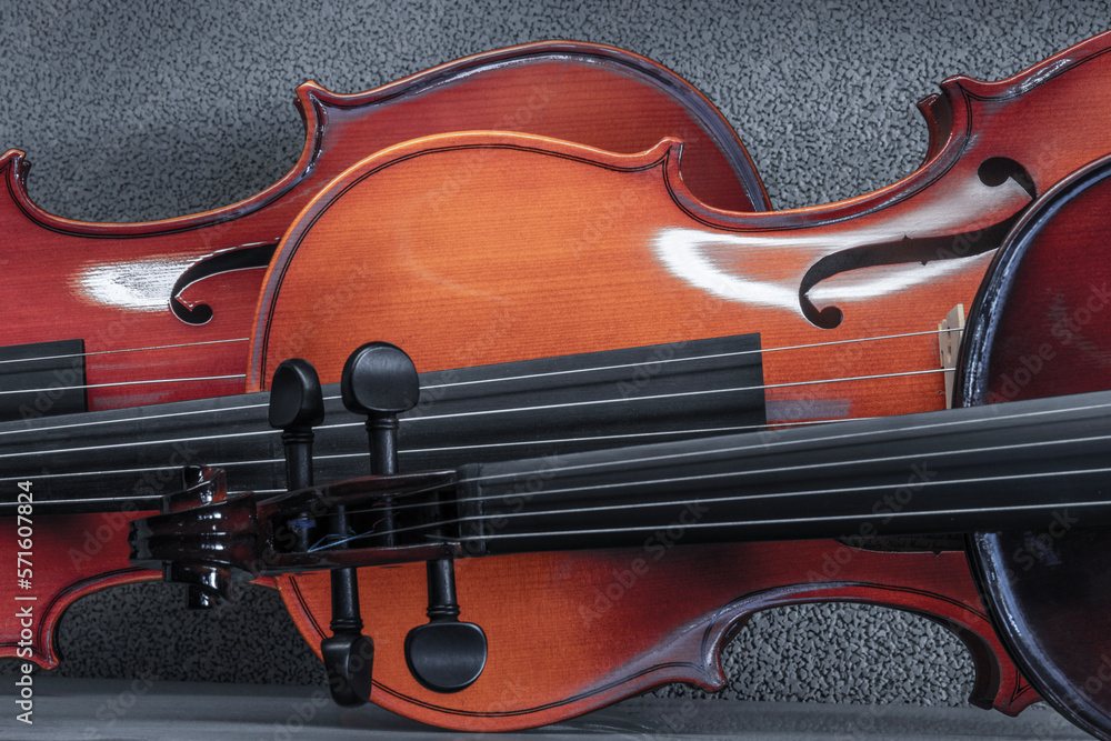 Fototapeta premium Violin display in a row horizontally. The violin is an important musical instrument because of its fundamental role in classical music.