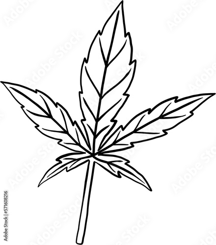 simplicity cannabis leaf freehand drawing © tanarch