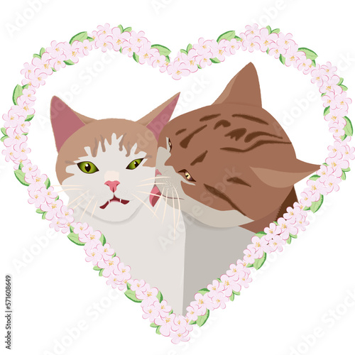 March cats licking in a flower heart frame no background