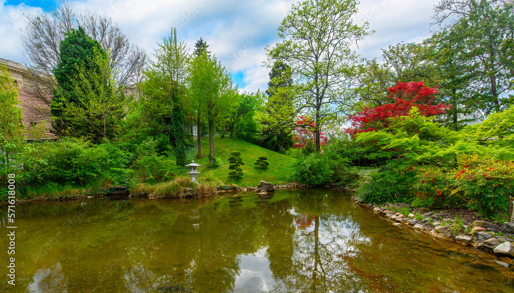 Beautiful trees and flowers in the Japanese garden in the Budapest Zoo in Hungary. Spring green landscape Beautiful trees and flowers in the Japanese garden in the Budapest Zoo in Hungary. Spring green landscape