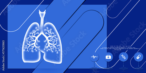 Healthy Human Lungs 2d illustration 