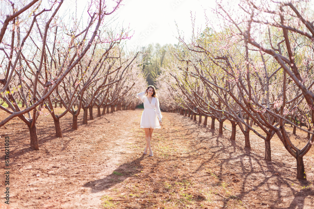 A young beautiful slender girl in a light short dress walks through a blooming peach garden on a sunny spring day. Spring background with a girl in flowering trees
