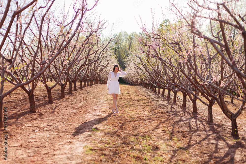 A young beautiful slender girl in a light short dress walks through a blooming peach garden on a sunny spring day. Spring background with a girl in flowering trees A young beautiful slender girl in a light short dress walks through a blooming peach garden on a sunny spring day. Spring background with a girl in flowering trees