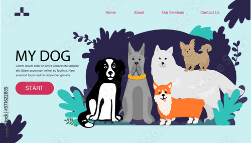 large dogs border set, front view spitz, french mastiff, labrador banner for landing page